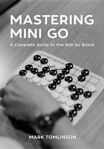 MasteringMiniGo