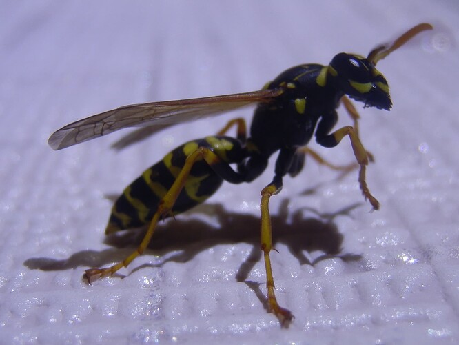 PB020022