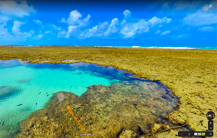 Screen Shot 2020-04-05 at 8.05.06 PM