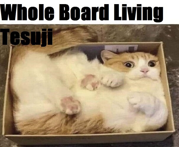 tesuji to entire board