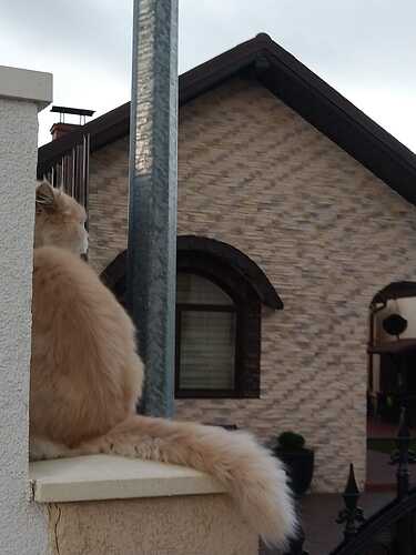 489642354_24108496252084514_8458865326500043827_n