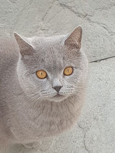 516506441_24829346949999437_6170228786943673855_n