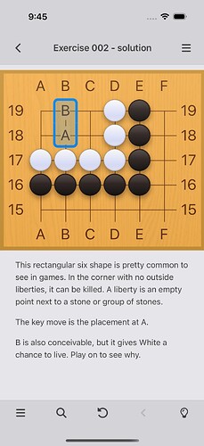 iPhone 17-07-Puzzle-2628-Light