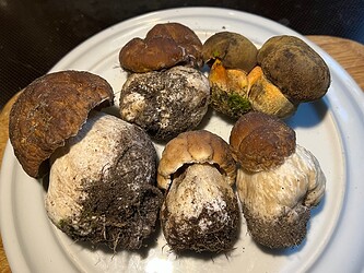 IMG_9583