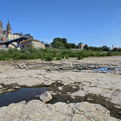 43616332-niedrigwasser-an-der-elbe-in-magdeburg-zu-sehen-ist-das-nahezu-ausgetrocknete-steinige-flussbett-in-ufernaehe-im-hintergrund-buesche-sowie-teile-einer-1vec