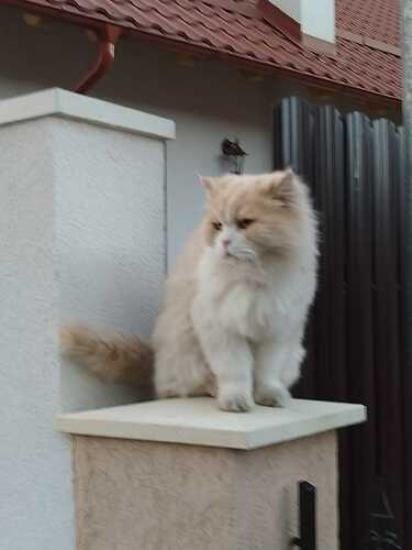 488955151_24108496048751201_405562398456078113_n