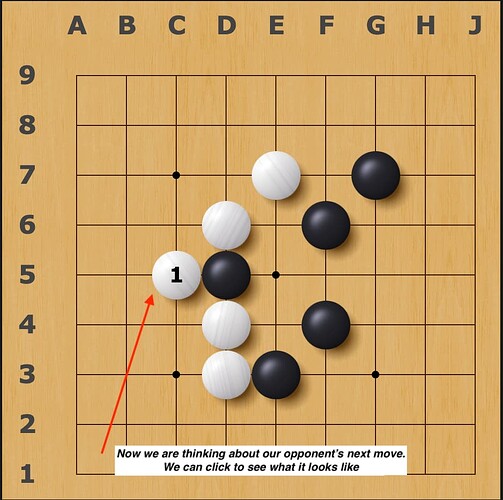 Screenshot 2025-08-22 at 1.12.12 pm (3)