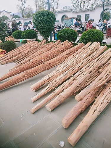 IMG20210803091629