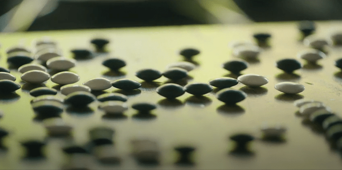 Capture d’écran 2025-10-14 134019