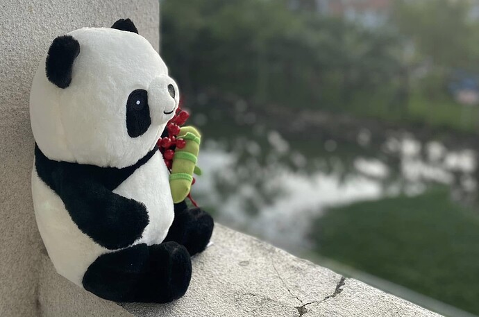 20241224_Panda