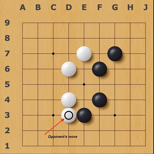 Screenshot 2025-08-22 at 1.11.57 pm (3)