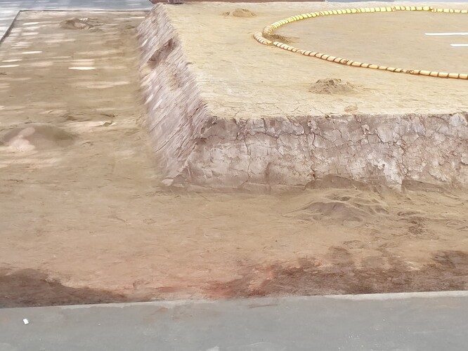 IMG_20230312_080055527