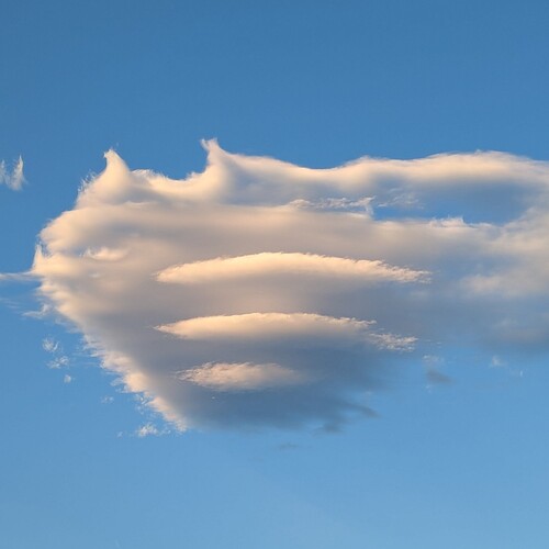 PXL_20260302_011707907_copy_1024x1024