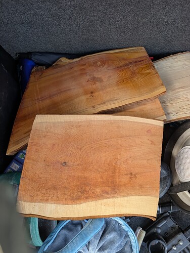 PXL_20251012_143702114