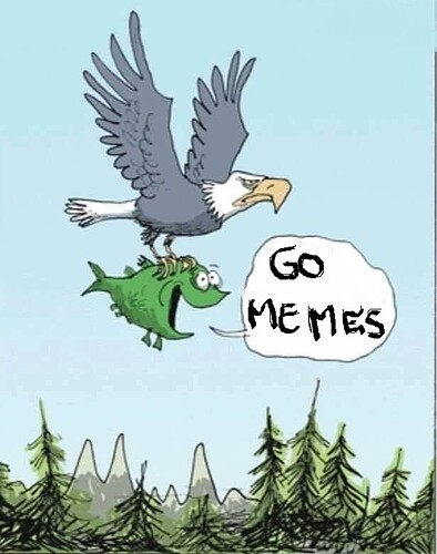 go_memes